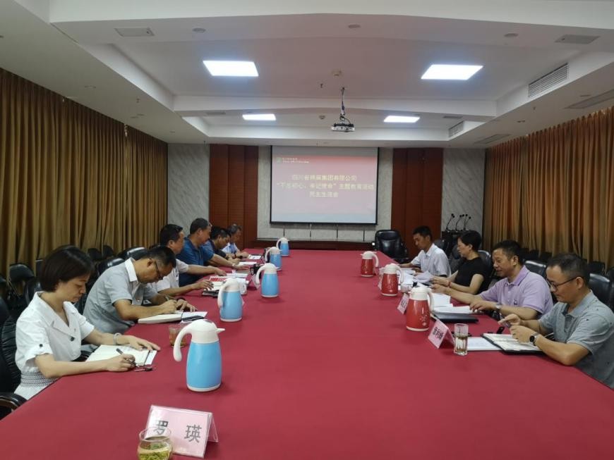 集團(tuán)公司召開“不忘初心、牢記使命”主題教育活動(dòng)民主生活會(huì)