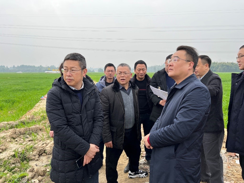省社、省供投集團領(lǐng)導調(diào)研青白江區(qū)四川現(xiàn)代供銷種業(yè)園區(qū)