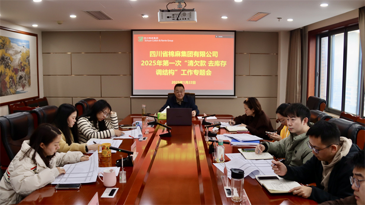 集團公司召開2025年第一次“清欠款、去庫存、調(diào)結構”工作專題會